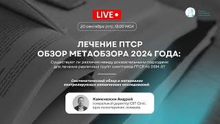 Обзор метаобзора 2024 года: