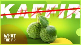 The Most Sour Fruit In The WORLD || The KAFFIR lime AKA Makrut Lime Bet You Didn't Know