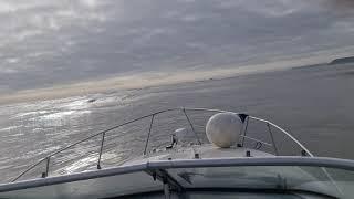 bayliner 285 in rough sea