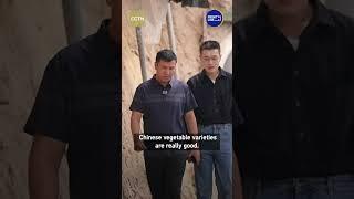 China-Uzbekistan agricultural cooperation bears fruit