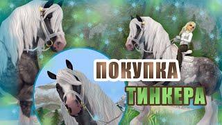 Покупка лошади (обновленный Тинкер) / Star Stable Online