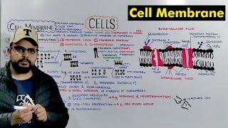 Cell membrane / Plasma Membrane Structure and Function (Detailed Lecture)