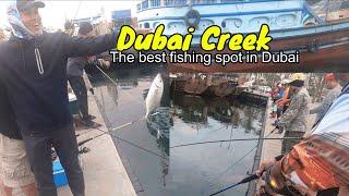 Best fishing Spot in Dubai UAE - Shore fishing - Hook Fishing