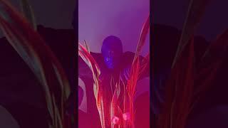 Snake Plant Synth 🪴 NEW Plant Music from Blue Man Group