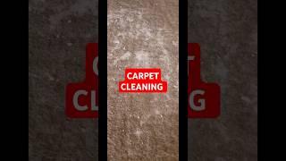 Carpet Cleaning With Baking Soda and Vinegar and Water Only 