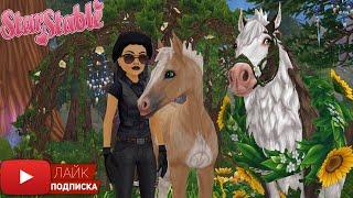 Иду в ЗАПРЕТКУ в Star Stable | Диколесье | Новая локация | Игра про лошадей