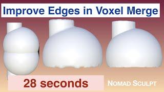 Improve edges during Voxel and Boolean | 28 seconds | Nomad Sculpt