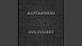 МЕРТВИЧИНА