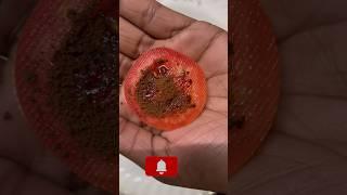 Tomato face scrub at home #shorts #tomato #facescrub