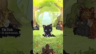 ВХВХВХ #warriorcats #моякошка #хочуврек #бич#котяра#звёздоцап