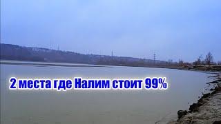 Ловля налима 2 места где обитает налим осенью. Где искать и найти Тропу налима на реке осенью?