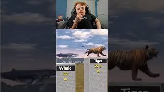 THE IQ OF DIFFERENT ANIMALS!