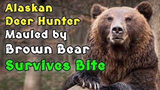 Alaskan Deer Hunter Mauled by Brown Bear Survives Bite to the Head