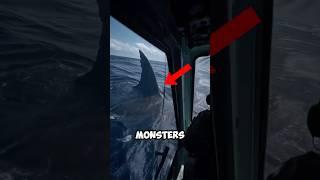 Top 5 Monsters That Were Based on Real Creatures 