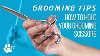 Grooming Tips: how to hold your grooming scissors correctly | TRANSGROOM