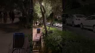 Автобус 161 Тель Авив @ТроллейбусОнелав