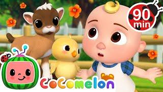 Learn Farm Animals with Baby JJ! | CoComelon Nursery Rhymes and Kids Songs | Animals for Kids