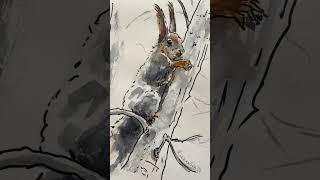 #squirrel #squirreldrawing #wildlifeart #short  #art #арт #painting #lineandwash