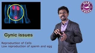 NADISWARA | Pulse Diagnosis Report Interpretation | Kidney Yin Deficiency
