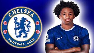 MALICK FOFANA | Welcome To Chelsea 2025  Elite Goals, Skills, Assists | Lyon (HD)