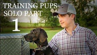 Training Pups Solo Part 1 with Chris Rochester and Maximus