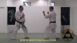 Okinawa Shorin-ryu Karate: Parent Style of Shotokan (clip 4)