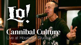 LO! - Cannibal Culture - Live at Housefox Studios