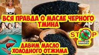 Вся правда о черном тмине. Масло из черного тмина - как мы его получаем. Правила употребления масла.