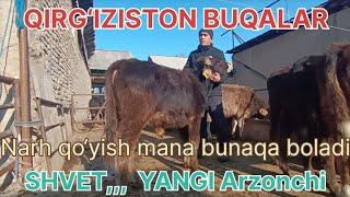 Yangi arzonchini topdim PULI JUDA ARZON BOLDI