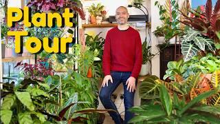 Living With 300 Plants! Full Home Tour