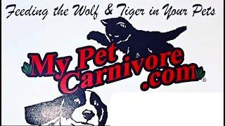 RAW Dog Food from 'My Pet Carnivore' - UNBOXING