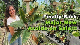 Day in the life, working at a garden center | Monstera Albo, Aroids, & Exotic Plants Restock on Sale