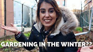 Working in The Garden in The Winter | Urban Gardening in New York City |Mari's Garden & Kitchen VLOG