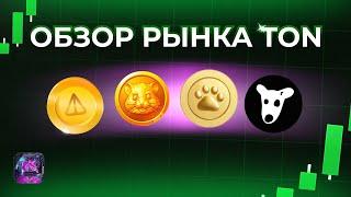 Notcoin, Hamster Kombat, Dogs и Catizen в TON