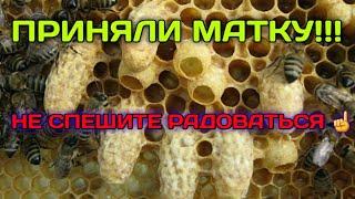 100%НАЯ ПОДСАДКА МАТОК(ЧАСТЬ 2)НО БУДЬТЕ ВНИМАТЕЛЬНЫ 