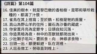 #19-3 【詩篇101-150】【有聲聖經字幕版】中文和合本聖經100週年紀念