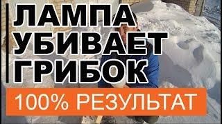 Как УБИТЬ Грибок  в Бане # Применяем  КВАРЦЕВАНИЕ