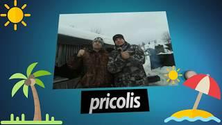 intro pricolis