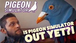 Pigeon Simulator - HakJak Reflections 2022