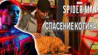 СПАСЕНИЕ КОТИКА / ПРОХОЖДЕНИЕ SPIDER MAN MILES MORALES