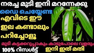 ഇനി ആരും ഡൈ ചെയ്യേണ്ട ഈ ഇല വീട്ടിൽ ഉണ്ടോ?ചൂടുവെള്ളത്തിൽ കലക്കിയ മതി ഒറ്റ മുടി കറുപ്പിക്കാം .