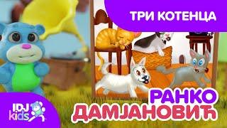 ТРИ КОТЕНЦА // ПЕСНИ ЗА ДЕЦА // @IDJKidsBG & @RankoDamjanovic