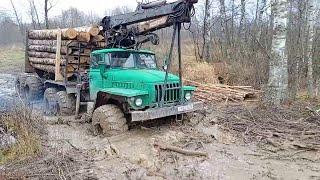 ЛЕСОВОЗ ПО ГРЯЗИ! ЛЕСОВОЗ В ДЕЛЕ. ЛЕСОВОЗЫ ПО БЕЗДОРОЖЬЮ.НЕПРОХОДИМЫЕ ДОРОГИ. НАША ТЕХНИКА В ДЕЛЕ