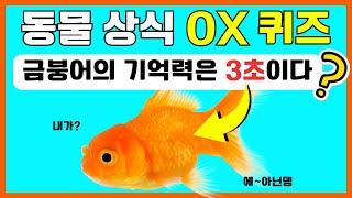 동물 상식 테스트 | ox 퀴즈 챌린지 | 참 또는 거짓 게임