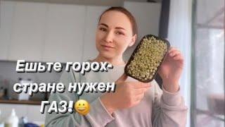 #влог Выращивание микрозелени/ Шаурма на скорую руку/ Переезд на юг/Life in Russia