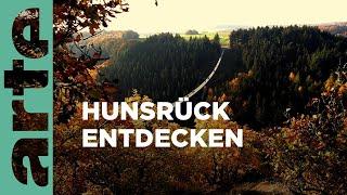 Das Gebirge des scheinbar nie endenden Waldes | Der Hunsrück | ARTE Family