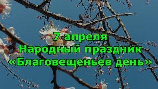 Народный праздник «Благовещеньев день». Приметы на 7 апреля.  Что нельзя делать и что можно.