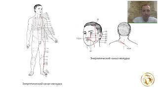 желудка меридиан перекос лица особенности говорит профессор Александр брокер
