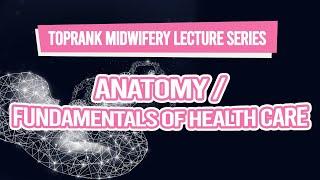 TopRank Midwifery Lecture Series: Anatomy & Fundamentals of Health Care