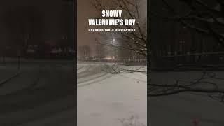 From Spring Fling to Winter Wonderland: Our Snowy Valentine's Day Surprise!